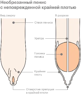 Стили обрезания