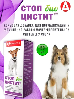 Купить Стоп-цистит Таблетки для собак, 20 таблеток - доставка, цена и  наличие в интернет-магазине и аптеках Доктор Вет