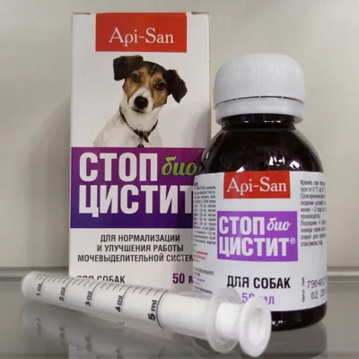 Стоп-цистит для собак, таблетки, 20 шт., по 200 мг - купить с доставкой по  выгодным ценам в интернет-магазине OZON (1253623048)