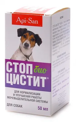 Корисна інформація » Поліпоїдний цистит у собак