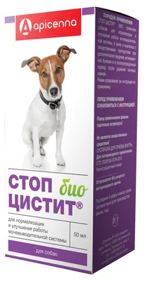 Препарат для собак Apicenna Стоп-Цистит 20таблеток купить по цене 499 ₽ с  доставкой в Москве и России, отзывы, фото