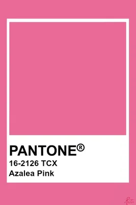 Mandys Pink – Azalea – Illusion – Hot Pink – Brilliant Rose Color scheme |  iColorpalette