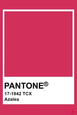 Pantone Azalea Pink | Pantone colour palettes, Pantone pink, Pantone color