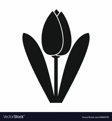 Файл:Чёрный тюльпан 2019 19.jpg — Викимедиа