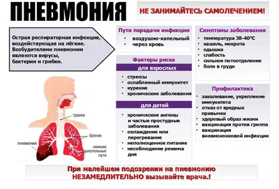 Пневмания - КГБУЗ \"МАНСКАЯ РАЙОННАЯ БОЛЬНИЦА\"