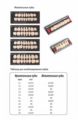 Как выбрать цвет виниров, цвета зубов по шкале вита и блич (bleach) |  Виниры натурального цвета