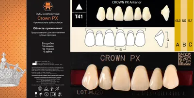 Цвет зубов: фотографии каждого оттенка (Блич 2, Блич 3)