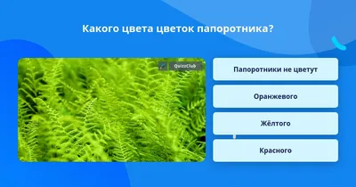 Цветок папоротника и другие эндемики