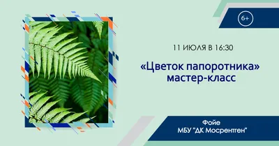 В заповеднике «Присурский»: цветок папоротника можно искать на поверхности  озера » ПРИСУРСКИЙ - государственный природный заповедник