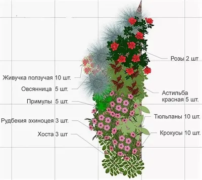 Погубите весь цветник: ни в коем случае не сажайте эти растения рядом с  розами - Лента новостей Нижнего Тагила