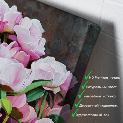 Низкие цветы для клумбы - 71 фото