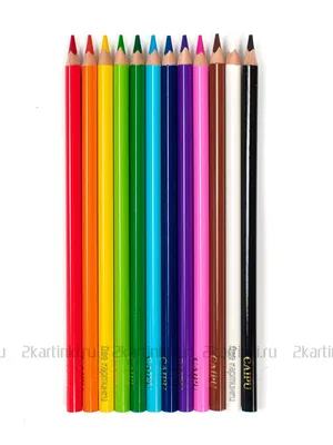 https://www.ozon.ru/product/karandashi-tsvetnye-dlya-detey-myagkie-72-tsveta-1150249622/