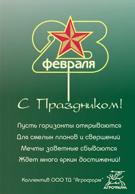 V KOMODE Носки цветные подарочные на 23 февраля набор 6 пар