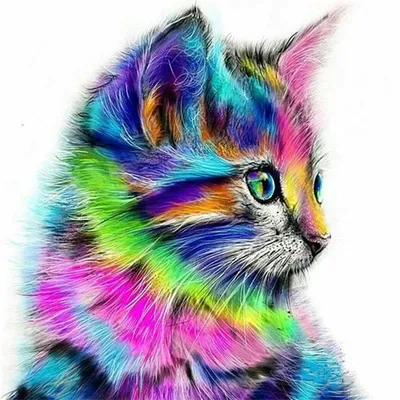 Цветные рисунки для срисовки