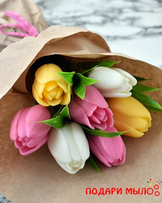 Цветные тюльпаны фото фотографии