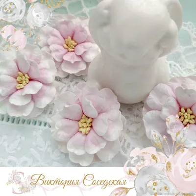 Раскраска цветочки горшке. Цветочки в горшке. Бесплатно найти раскраску.