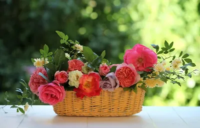 Букеты цветов в корзине с доставкой купить во Владимире по низкой цене -  магазин Цветы Цена Одна