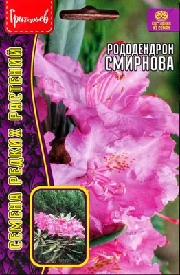 Уличные цветы (62 фото) - 62 фото