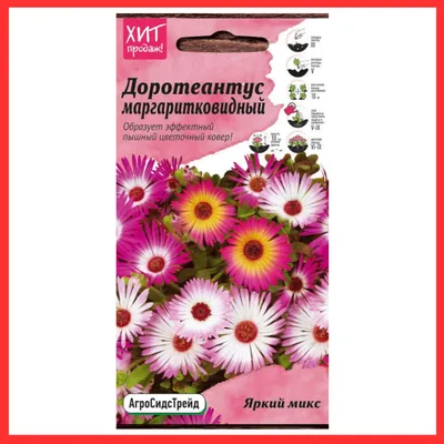 Семена цветов Доротеантус маргаритковый Смесь, О, 0,1 г (2743669) - Купить  по цене от 12.60 руб. | Интернет магазин SIMA-LAND.RU