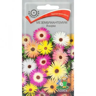 Мезембриантемум (доротеантус) смесь Hem Zaden