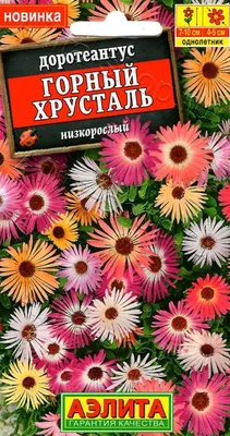 Купить семена Доротеантус Краски лета — от НПО Сады Росcии