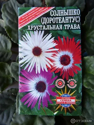 Мезембриантемум (Доротеантус маргаритковидный) Искорки (ЦВ) (\"1) 0,3гр