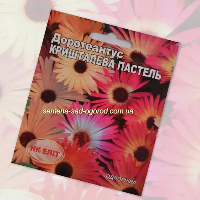 Семена цветов Доротеантус \"Ярко-Красный\", О, 0,01 гр (1766543) - Купить по  цене от 8.50 руб. | Интернет магазин SIMA-LAND.RU
