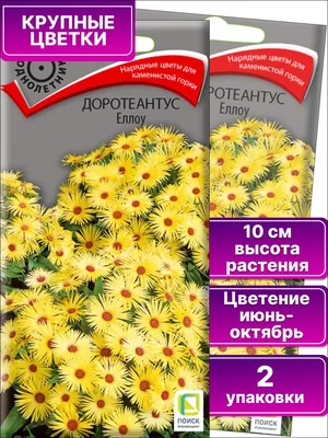 ꕤ Рассада Доротеантус желтый 40 шт (кассета) • купить Рассада Доротеантус  желтый 40 шт (кассета) по цене от 349.99 грн. в Украине