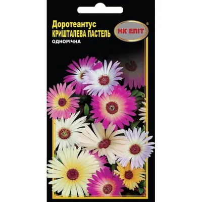 Семена Мезембриантемум (Доротеантус маргаритковидный) Искорки 0,3гр. купить  за 50 рублей в интернет-магазине fermerz.ru. Доставка по всей России.  Продажа | Цена | Отзывы