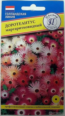 Мезембриантемум (доротеантус) смесь Hem Zaden