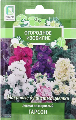 Семена цветов Левкой низкорослый Каприз смесь окрасок Поиск в Оренбурге –  купить по низкой цене в интернет-магазине Леруа Мерлен