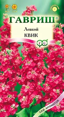 Семена Цветы Левкой Гигантская Смесь окрасок/Сем Алт/цп 0,2 гр. (2026 /  22431) : купить по низкой цене в интернет-магазине Komfort в Алматы,  Нур-Султане, Казахстане