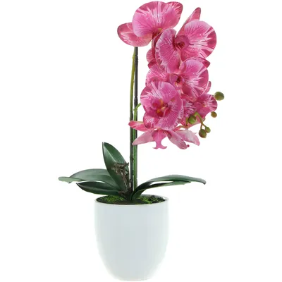 Искусственная орхидея в кашпо гиган фиолетовую. Купить орхидею. Цветы в  горшках купить Харьков