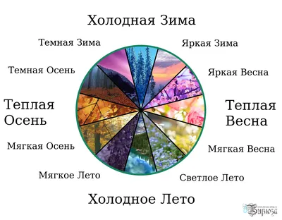 Цветотип. Определяем цветотип на основании характеристик внешности. 12  Цветотипов.