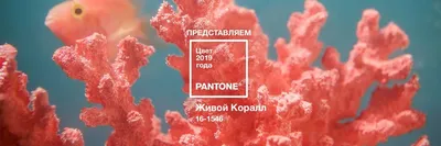 Милый усмехаясь зеленый цвет Kawaii и желтое мороженое Горячее лето Съешьте  меня теперь иллюстрация вектора холодной еды плоская Иллюстрация вектора -  иллюстрации насчитывающей продукт, цветасто: 150887853