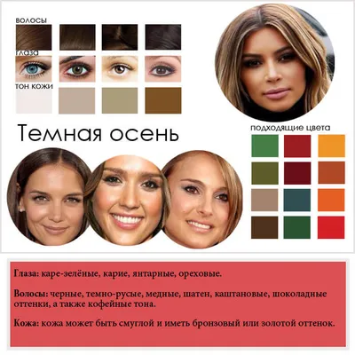 Цветотип Весна. Основные характеристики: Весна яркая, Весна золотистая,  Весна нежная | Стилист имиджмейкер Ксения Смиян | Дзен