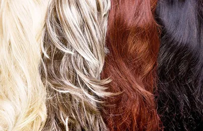 Цветотип весна: цвет волос и макияж - DiscoverStyle.ru