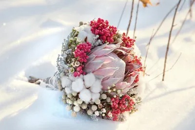 Замороженные чудеса: фото цветов в прекрасном окружении снега