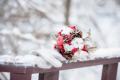 Колоритная композиция: качественные фото цветов на снегу