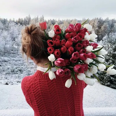 Нежные краски зимы: фото цветов на фоне белоснежного снега
