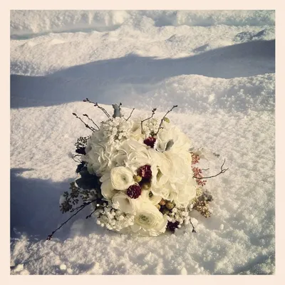 Сказочный холод: фото цветов в окружении снежных скульптур