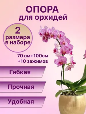 DziunyDom Гибкая опора для орхидей и комнатных растений