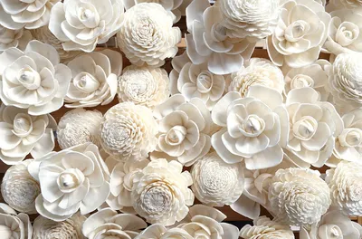 Фотообои Белые цветы 3Д купить на стену • Эко Обои