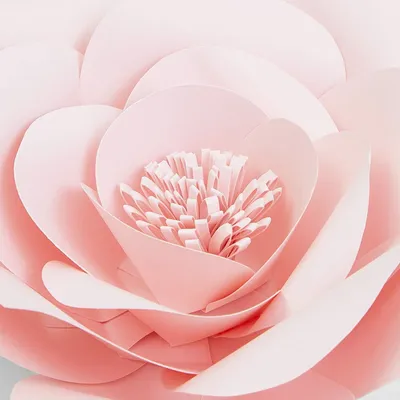 Paper Flowers Abstract 3d Model Background, 3d Paper Cut Modern Decoration  Wallpaper, 3d Flower Abstract Paper Cut Illustration Art Design Background,  Hd Photography Photo Background Image And Wallpaper for Free Download