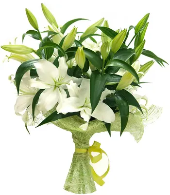 Букет белых лилий купить в Санкт-Петербурге в салоне цветов Флордель