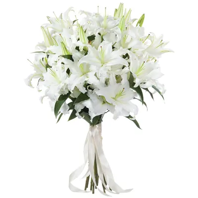 Белые лилии в коробке размера L (29 лилий) - купить в интернет-магазине  Rosa Grand