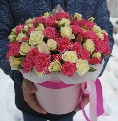 Пусть день будет солнечным и цветочным 🌹 📍«ЦВЕТЫ АЛЛА», Ул.Горького, 49  ______ Заказать букет можно любым удобным способом: ⠀ ▫️написать… |  Instagram