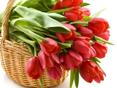Заказать красивый букет цветов для девушки FL-2766 купить - хорошая цена на  красивый букет цветов для девушки с доставкой - FLORAN.com.ua