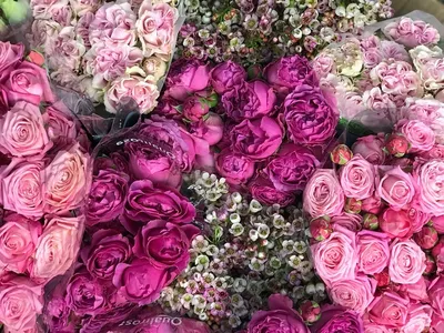 Букеты цветов для девушки купить в Тамбове, цена с доставкой