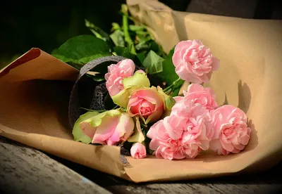 Какие цветы любят девушки - Советы флористов Premium Flowers